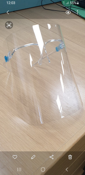 Protective Visor - OFFER
