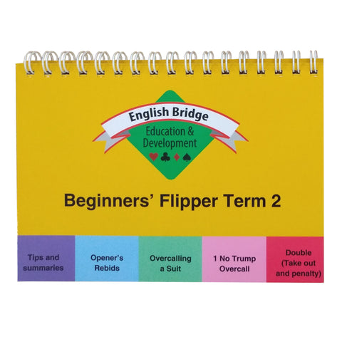 Beginners' Flipper - Term 2